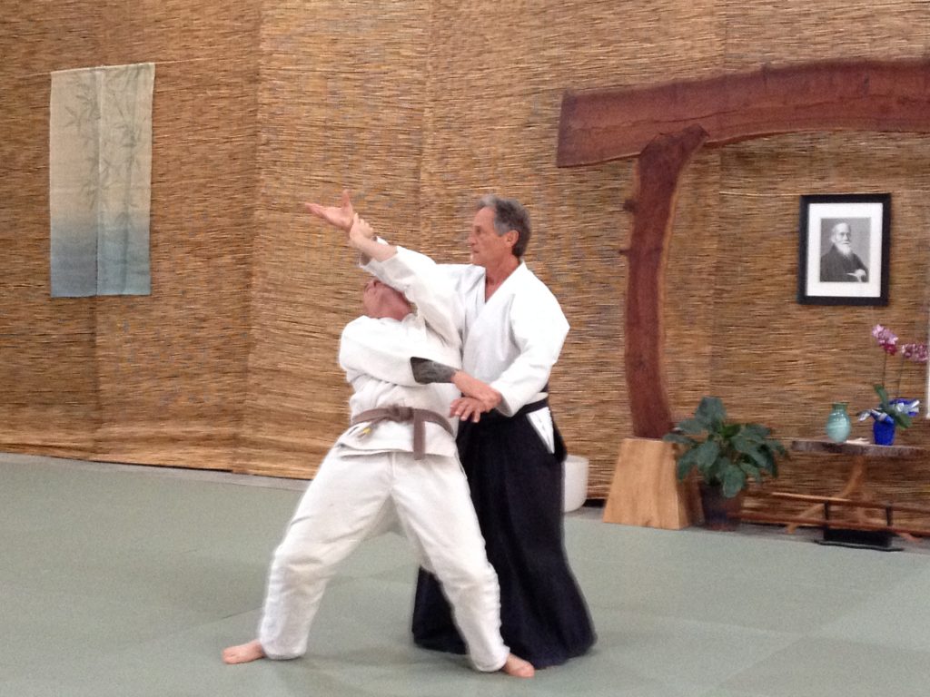 022 Aikido & Healing Arts Center of Roseville Martial Arts, Aikido