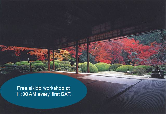 Aikido Beginners Workshop