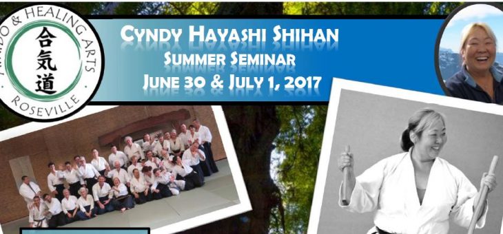 Hayashi Shihan Summer Seminar