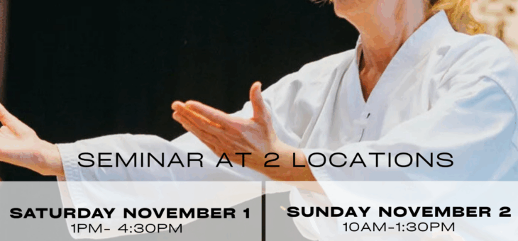 Seminar – Linda Holiday Shihan